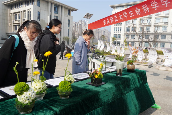 图片 2.png